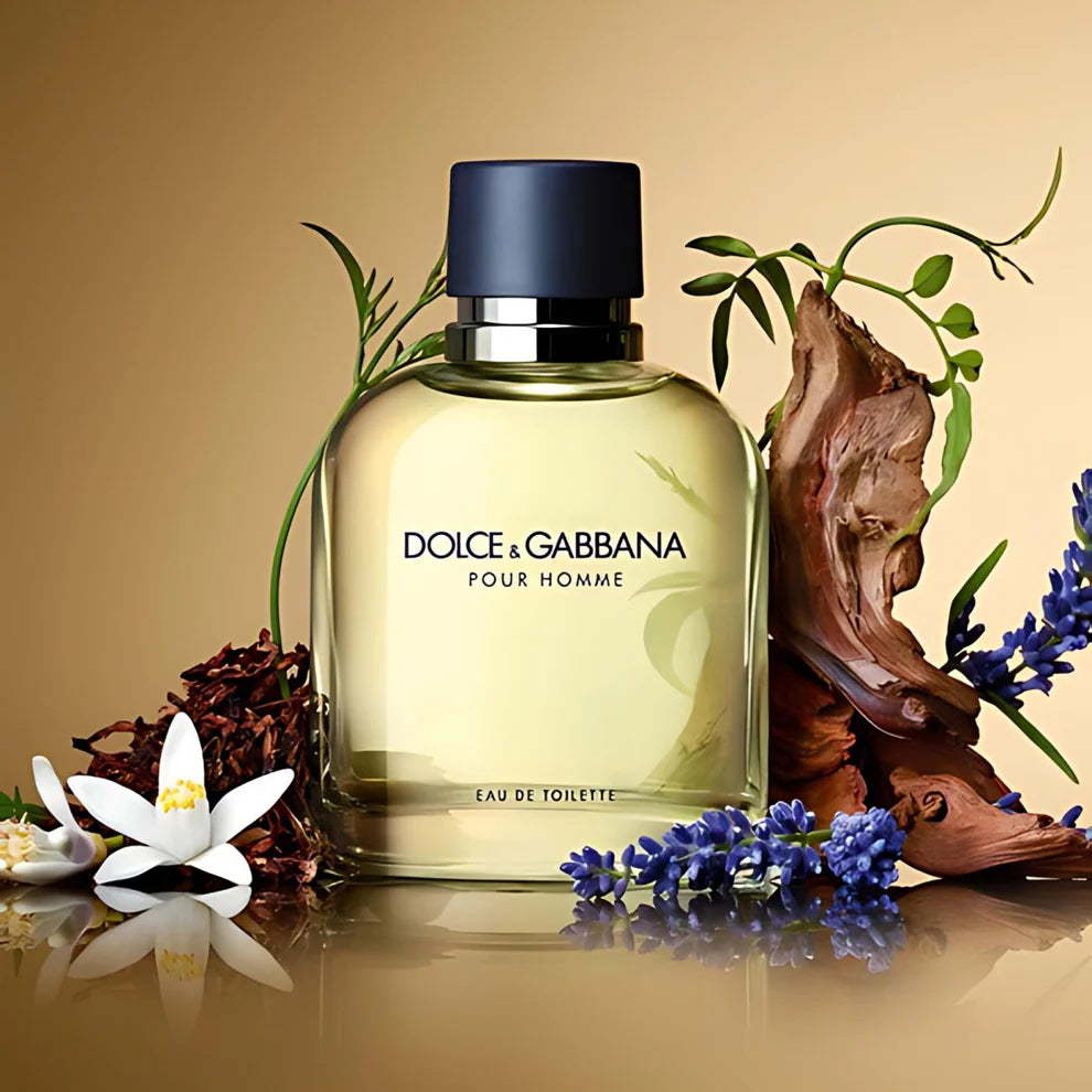 DOLCE & GABBANA Dolce and Gabbana